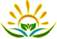 NGO Website Development in Vadodara