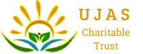 NGO Website Development in Vadodara